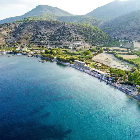 Kargilos & 3*